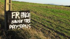 « Macron, réponds-nous ! » : les agriculteurs affichent leur malaise devant les préfectures