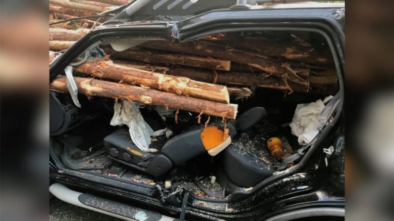 Un conducteur de la Géorgie a survécu après avoir percuté l'arrière d'un camion grumier et que sa voiture ait été empalée par des billots, du pare-brise avant jusqu'à la fenêtre arrière de la voiture. (Photo : avec l'aimable autorisation de Whitfield County Fire Department)