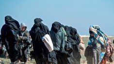 Offensive turque en Syrie : la France « inquiète » après la fuite annoncée de 800 proches de djihadistes d’un camp