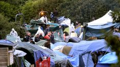 Camps de migrants : 13 maires demandent à l’État « d’agir en urgence »