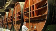 Sanctions américaines: vins, avions, olives… les secteurs visés en Europe