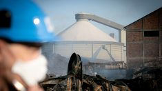 Lubrizol : plus de 9000 tonnes de produits partiellement brûlés dans l’entreprise mitoyenne