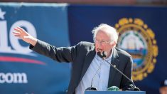 Opéré en urgence, Bernie Sanders suspend sa campagne pour la Maison Blanche