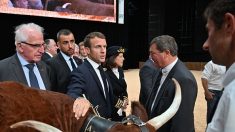 Emmanuel Macron propose de construire des abattoirs pour soutenir les éleveurs