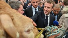 Incendie à l’usine Lubrizol : « J’irai bien sûr à Rouen »,  a affirmé Emmanuel Macron