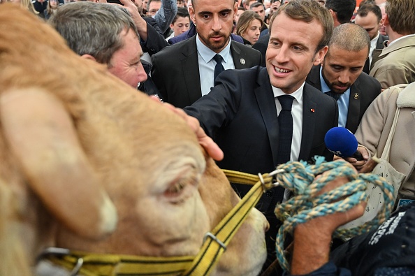 Le président Emmanuel Macron lors d'une visite au Sommet de l'Élevage à Cournon d'Auvergne près de Clermont-Ferrand. (Photo : PHILIPPE DESMAZES/AFP via Getty Images)