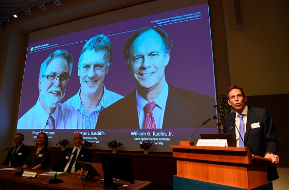-Thomas Perlmann secrétaire du comité Nobel, annonce les lauréats du prix Nobel 2019 de physiologie ou de médecine lors d'une conférence de presse à l'Institut Karolinska de Stockholm, en Suède, le 7 octobre 2019. Photo de JONATHAN NACKSTRAND / AFP / Getty Images.