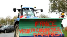 Détresse des agriculteurs : la FNSEA lance un appel à bloquer les routes