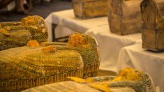 Découverte exceptionnelle de 30 sarcophages miraculeusement bien conservés à Louxor