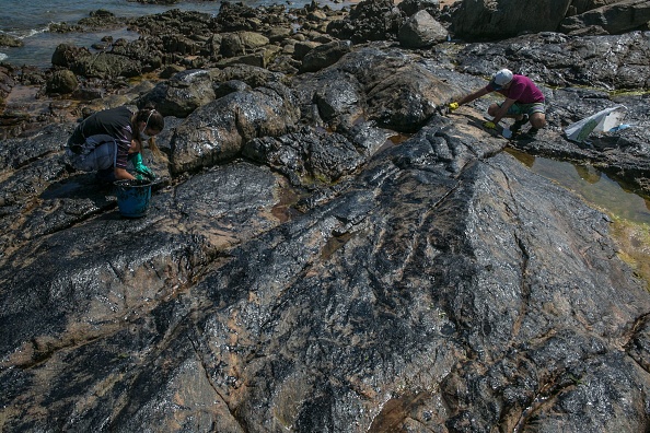 Des volontaires nettoient le pétrole des roches de la plage de Pedra do Sal, à Salvador, dans l'État de Bahia, au Brésil, le 19 octobre 2019. (Photo :  ANTONELLO VENERI/AFP via Getty Images)