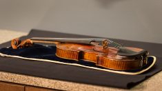 GB : un violon de 310 ans oublié dans un train