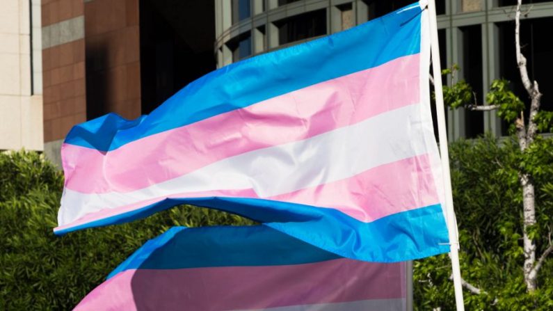 Des drapeaux de la fierté transgenre flottent dans le vent lors d'un rassemblement pour célébrer la Journée internationale de visibilité transgenre à l'édifice fédéral Edward R. Roybal à Los Angeles, Californie, le 31 mars 2017. (ROBYN BECK/AFP/Getty Images)
