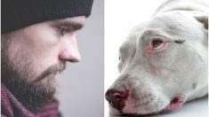 Un homme au cœur brisé fait ses derniers adieux à son chien avant qu’il ne meurt – ils ont vécu ensemble pendant 14 ans
