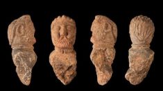 De rares sculptures gauloises découvertes en Bretagne