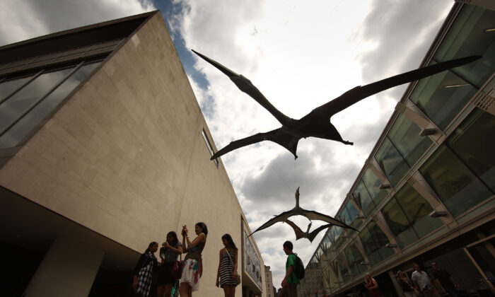 Des modèles de reptiles géants prédateurs connus sous le nom de ptérosaures suspendus devant le Royal Festival Hall de Londres, en Angleterre, le 21 juin 2010. (Peter Macdiarmid / Getty Images)
