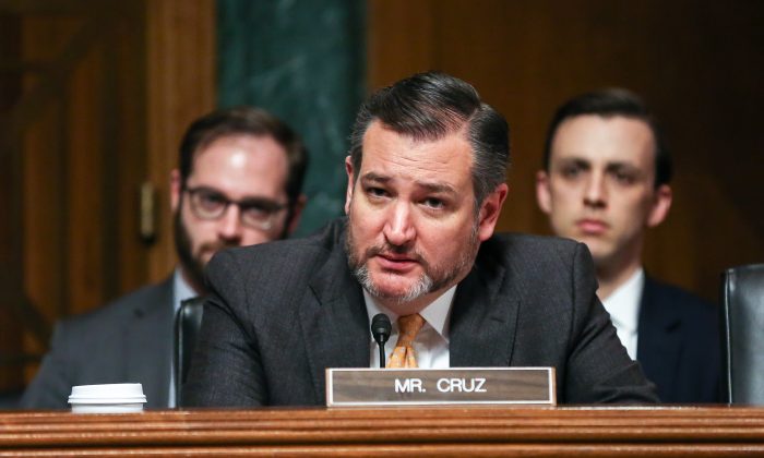 Le sénateur Ted Cruz (Jennifer Zeng/The Epoch Times)