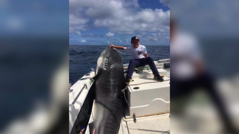 Jayden Millauro pose pour une photo avec un requin-tigre de 314 kg qu'il a attrapé lors d'une partie de pêche en Australie. (Port Hacking Game Fishing Club via CoastfishTV) 