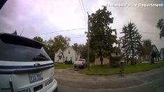 Une vidéo policière montre un policier en train de tirer sur un pitbull