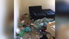 Sept enfants mis sous protection après que les autorités disent avoir trouvé dans leur maison des excréments d’animaux, des couches sales et des selles puantes