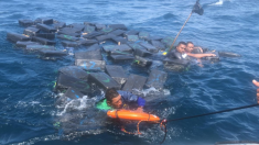 3 trafiquants de drogue sont sauvés, flottant au milieu d’une cargaison de dizaines de paquets de cocaïne en haute mer