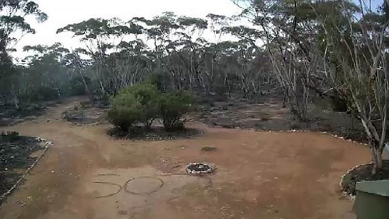 Une Australienne doit remercier une caméra de surveillance pour son sauvetage après s'être perdue alors qu'elle campait avec des amis. (Police de l'Australie-Méridionale)