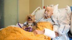 Un ancien combattant de la guerre du Vietnam en soins palliatifs a pu voir son chien bien-aimé pour la dernière fois