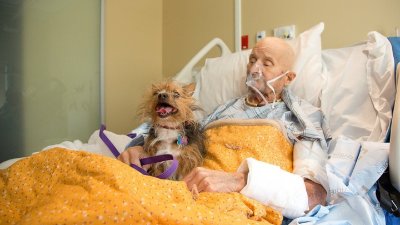 John Vincent est un Marine qui a combattu au Vietnam. Cet homme de 69 ans a été hospitalisé à Albuquerque, au Nouveau-Mexique, avant d'être transféré le 21 octobre 2019 dans un centre de soins palliatifs pour vétérans, situé à proximité. (Protection des animaux d’Albuquerque)