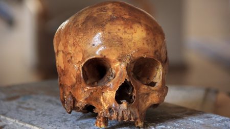 Bouches-du-Rhône : un crâne retrouvé parmi les déchets dans un centre de tri