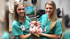 De vraies sœurs jumelles de 26 ans aident à mettre au monde des vraies sœurs jumelles par césarienne