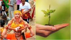 Ils plantent 111 arbres pour chaque bébé fille née dans un village indien, et cela empêche la mort de nombreuses filles à cause de la dot