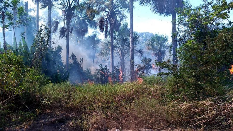 Incendie à Alter do Chão le 15 septembre 2019. (Brigade de pompiers militaires de Para)