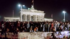 Les fractures du socialisme allemand, trente ans après la chute du mur de Berlin
