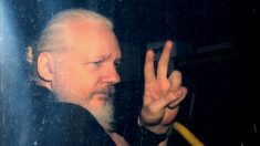 Le fondateur de WikiLeaks pourrait mourir en prison s’il ne reçoit pas de soins médicaux, selon les médecins
