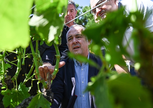 Le ministre de l'Agriculture Didier Guillaume.  (Photo : PHILIPPE DESMAZES/AFP via Getty Images)