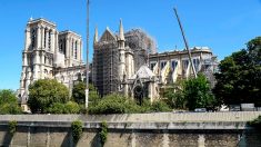 Notre-Dame de Paris: des experts chinois participeront à la rénovation