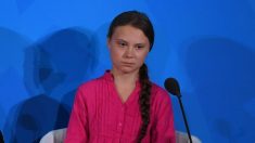 Qui a volé l’enfance de Greta Thunberg ?