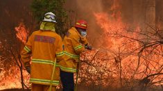 Australie : incendies au plus haut niveau à Sydney, l’état d’urgence déclaré