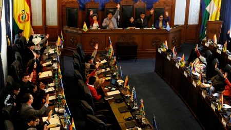 Bolivie : feu vert du Sénat à de nouvelles élections sans Evo Morales