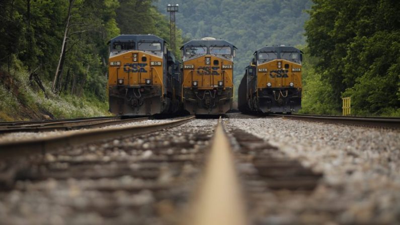 Des trains de charbon pour le transport sont dans une gare de triage à Pikeville, dans le Kentucky, le 3 juin 2014. (Luke Sharrett / Getty Images)