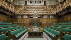 Le Parlement britannique discute d’un projet de loi visant à lutter contre le trafic d’organes et le tourisme de transplantation