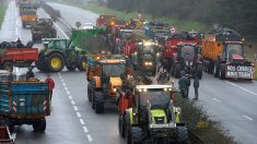 1.000 tracteurs vont perturber la circulation à Paris le 27 novembre 