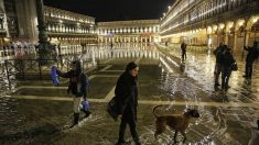 Venise sous les eaux: l’état de catastrophe naturelle décrété jeudi