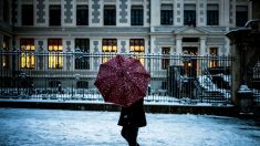 Lyon : des chutes de neige «non négligeable» attendus, le dispositif de viabilité hivernale activé