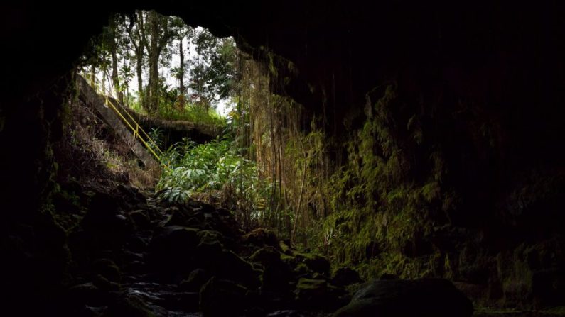 Un tunnel de lave au Kaumana Caves Park près de Hilo, île d'Hawaii. (John Loo/Flickr[CC BY 2.0 (ept.ms/2haHp2Y)])