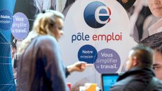 Deux individus d’origine turque condamnés pour avoir touché plusieurs milliers d’euros d’allocations indues de Pôle Emploi