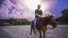 Comment les chevaux aident les anciens combattants à s’adapter à la vie civile