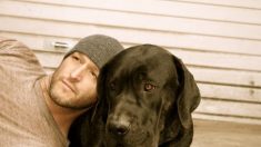 Cet homme devient le dernier espoir pour sauver des chiens ayant des problèmes de comportement avant l’euthanasie
