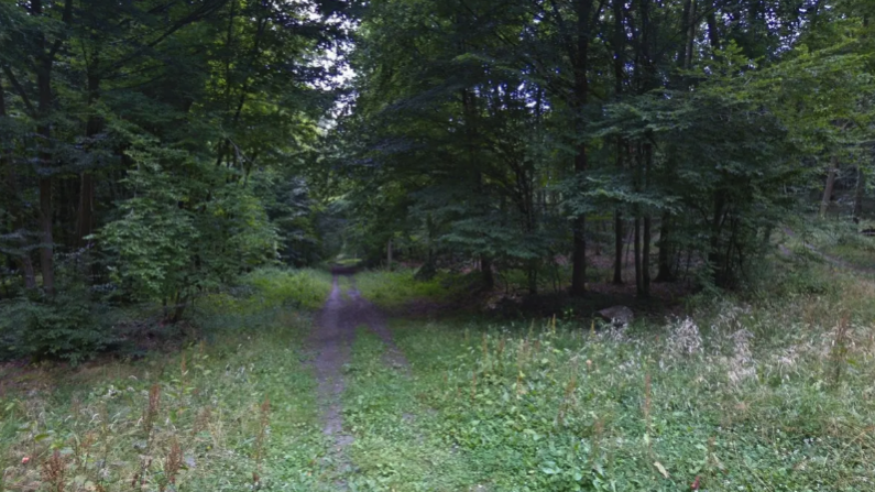 Vue de la forêt de Retz. Crédit : Google Maps. 
