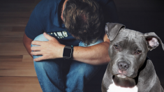 Un chien pressent le suicide de son propriétaire et fait quelque chose d’inhabituel pour l’empêcher