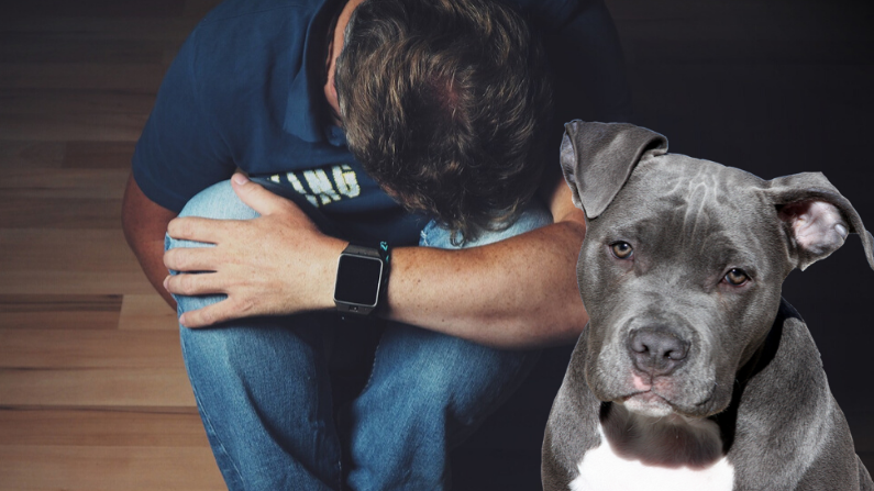 Un chien et son propriétaire déprimé (HolgersFotografie|Momentmal/Pixabay)
